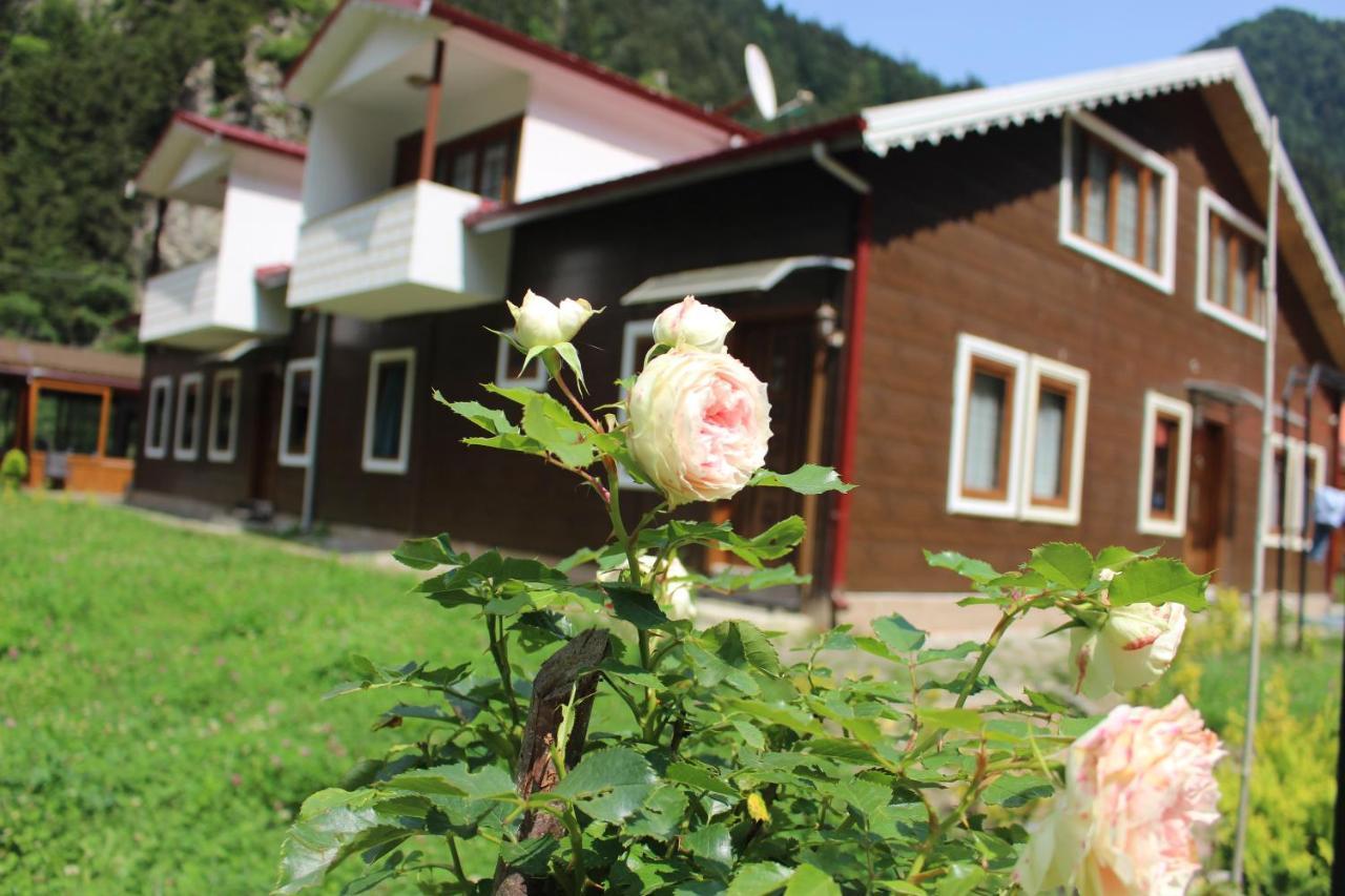 Uzungol Selale Otel Bungalow Zewnętrze zdjęcie