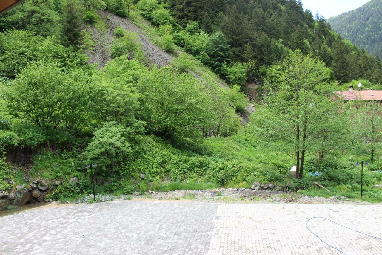 Uzungol Selale Otel Bungalow Zewnętrze zdjęcie